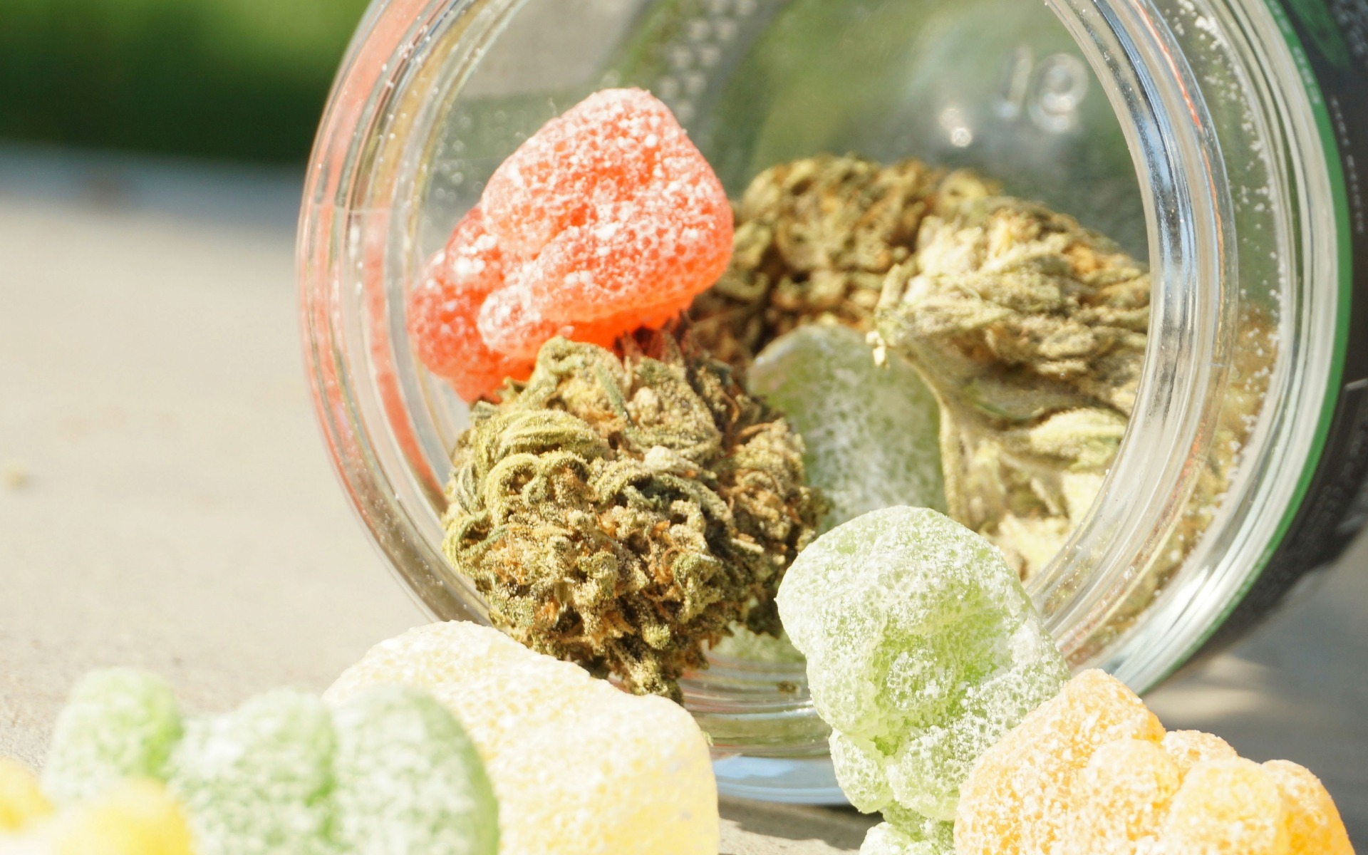 cannabis gummies