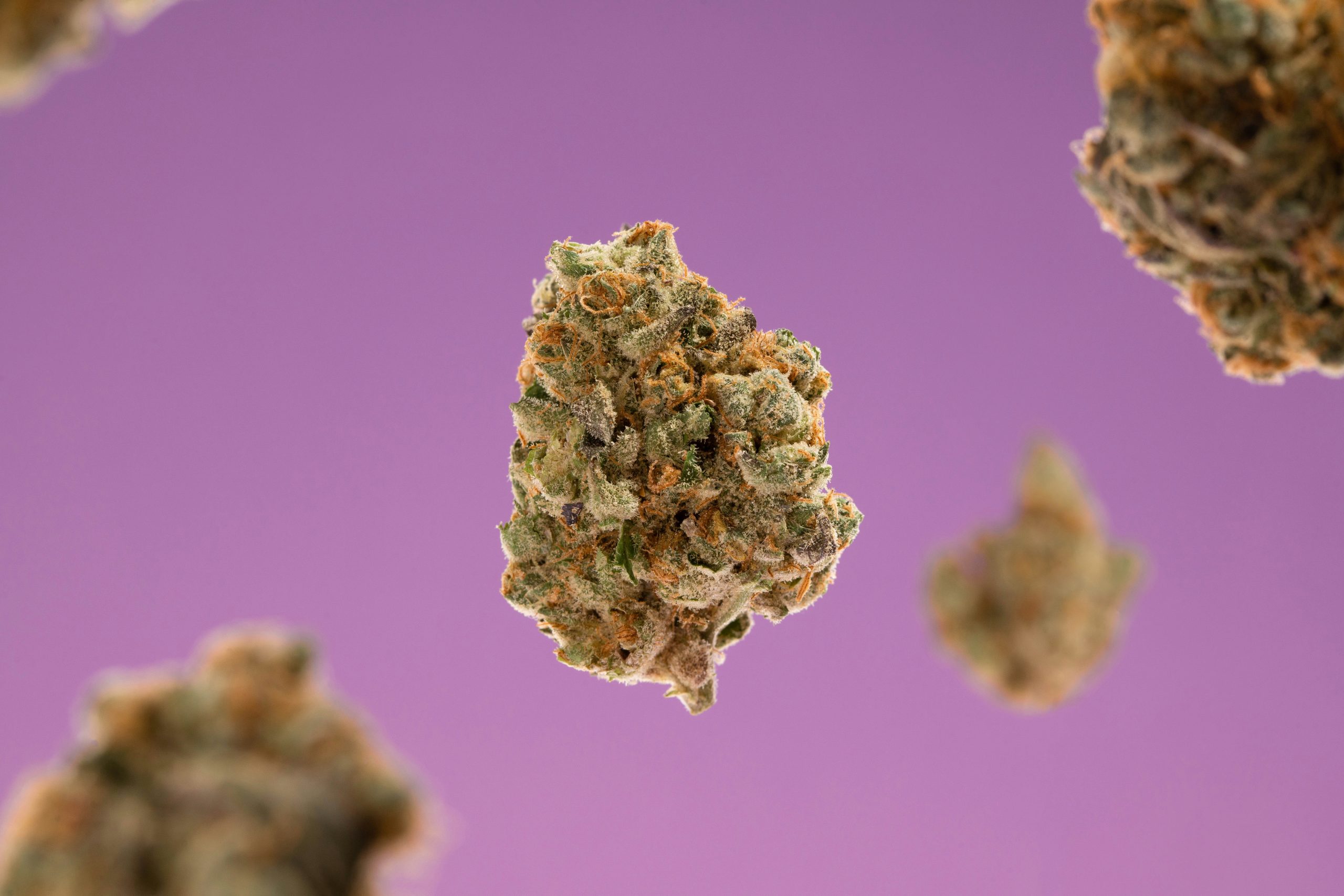 cannabis commercial