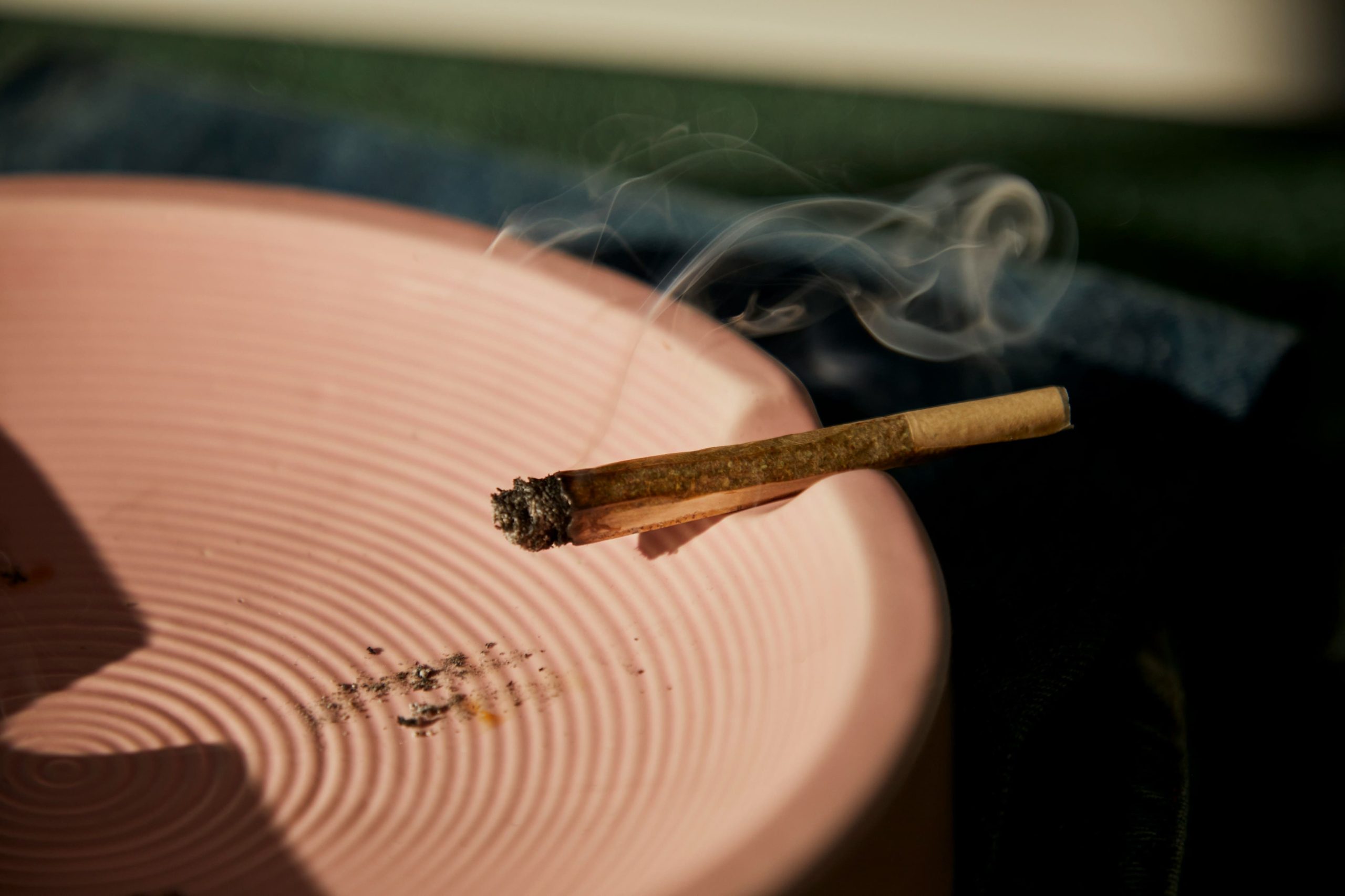 cannabis explained